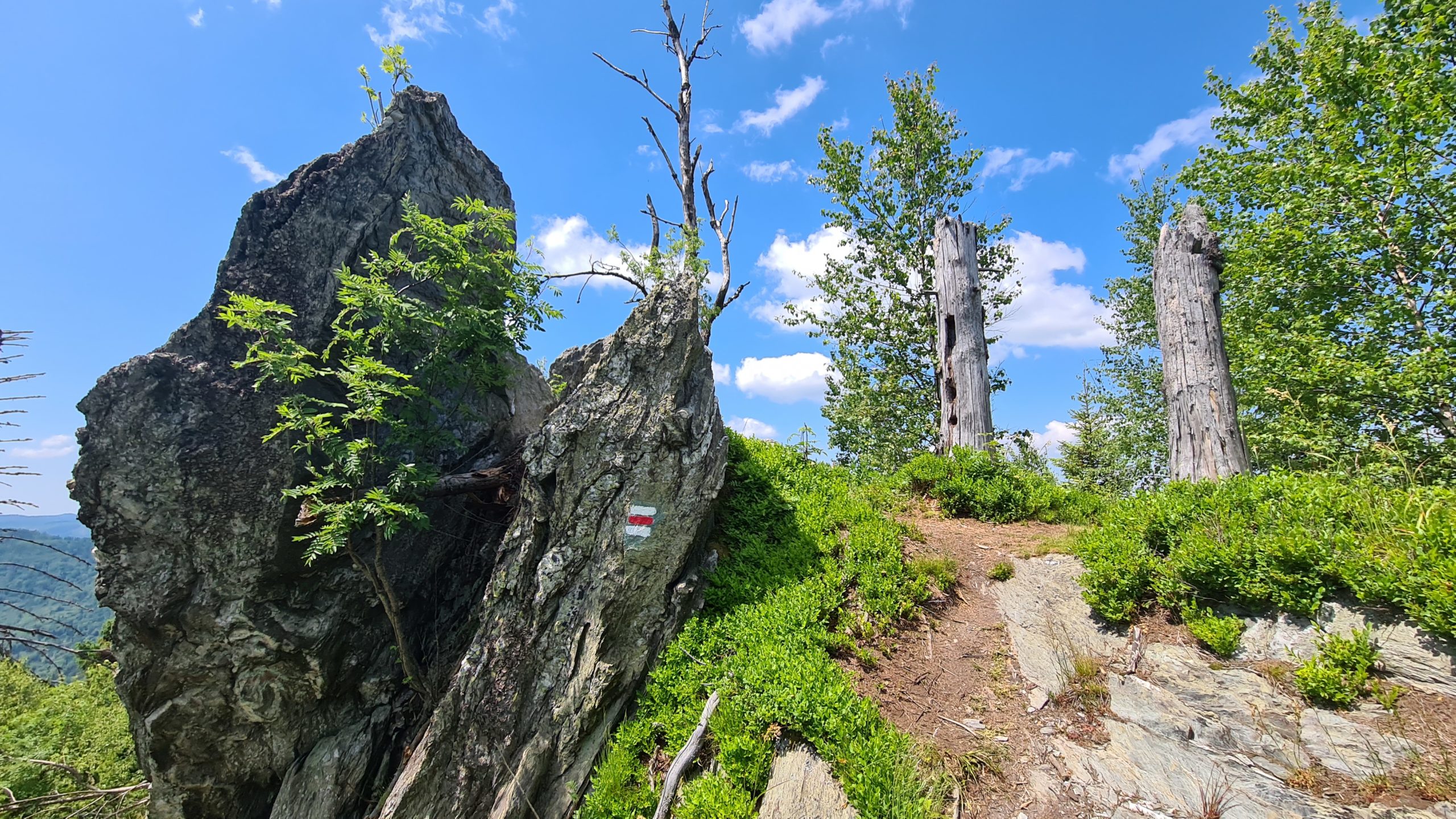 Rudohorská 100 1/2 #trekking