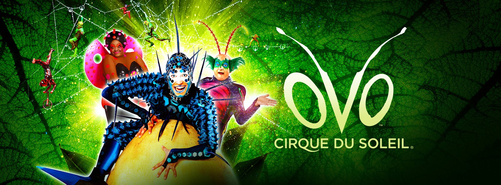 OVO - Cirque du Soleil