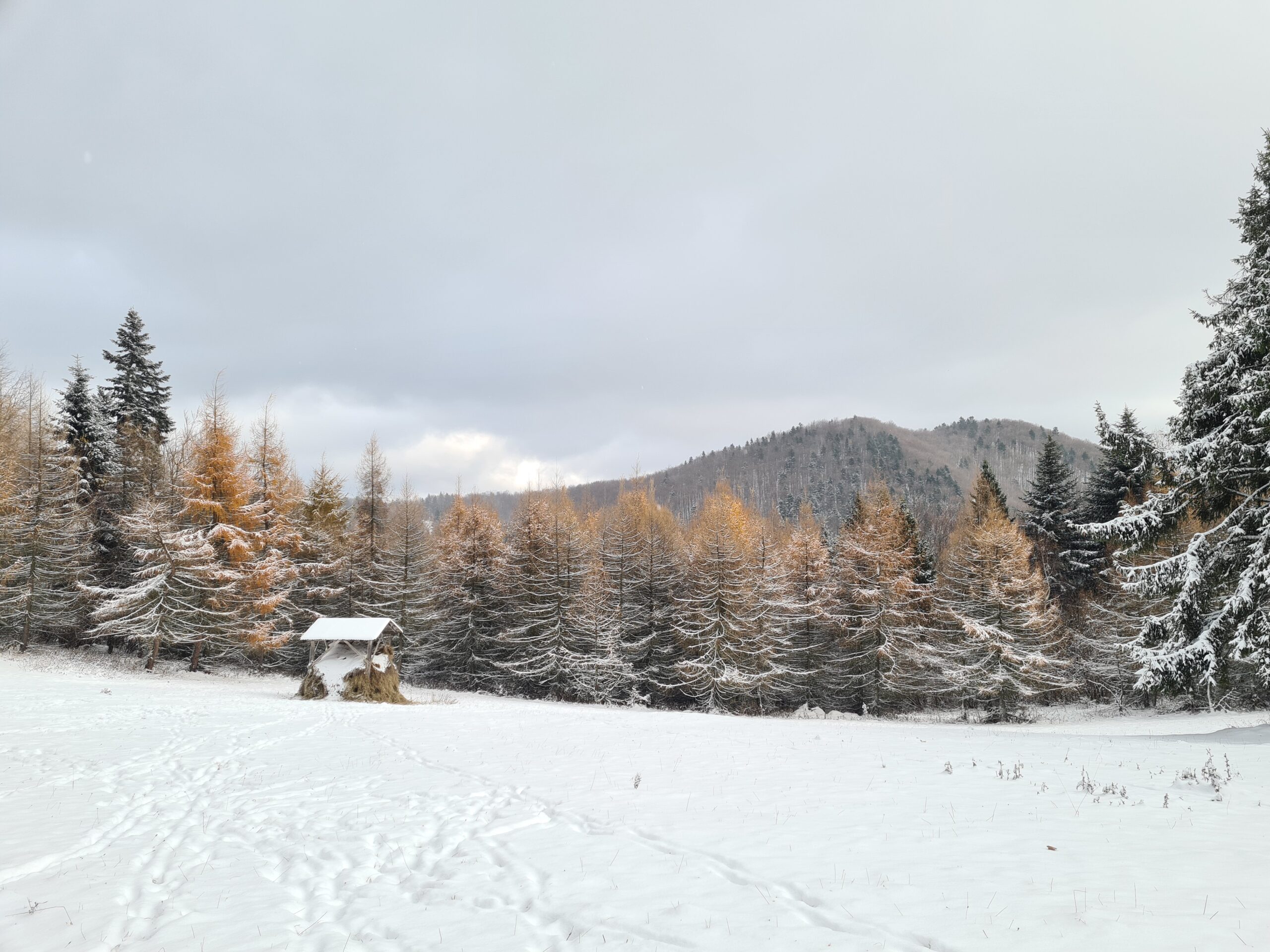 Nad Lúčankou, Čergov