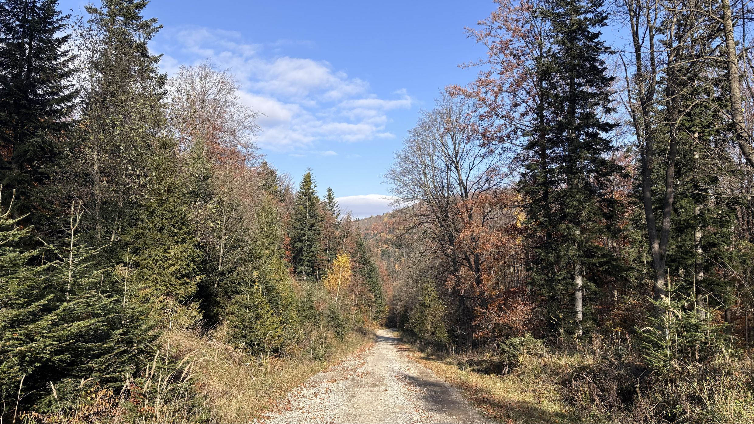Perlová dolina, Volovské vrchy
