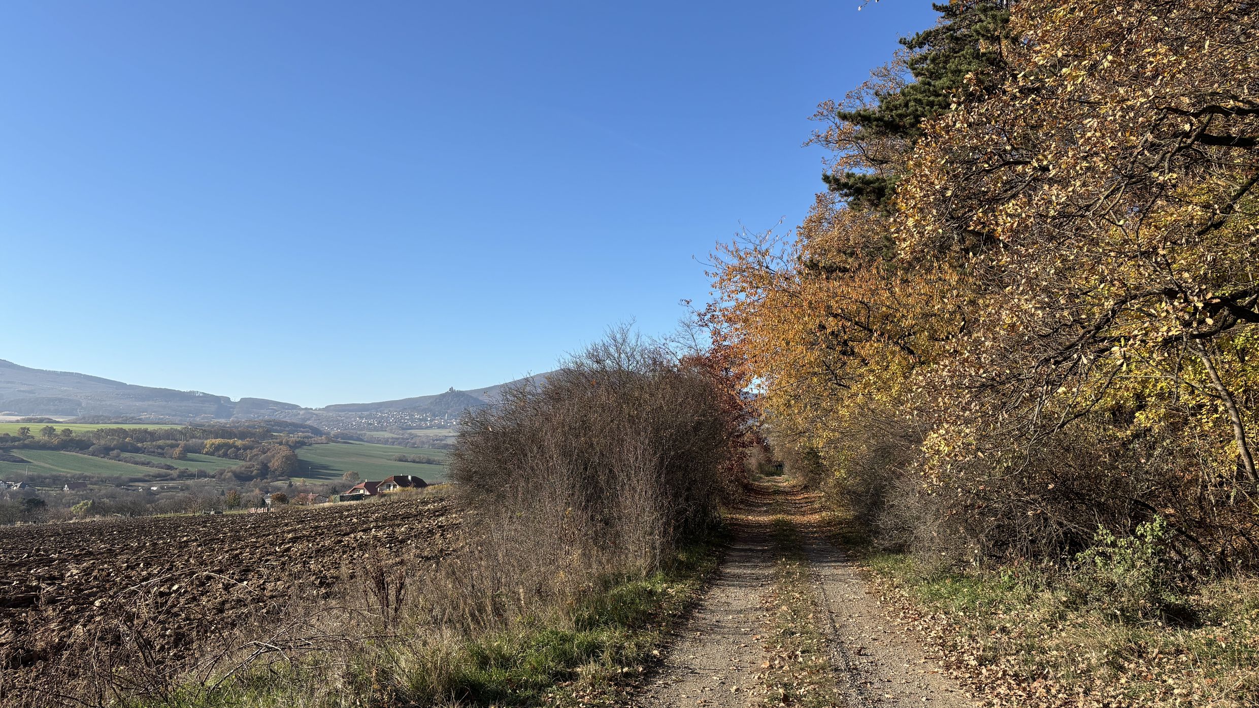 Lesná cesta do Slanského Nového Mesta.