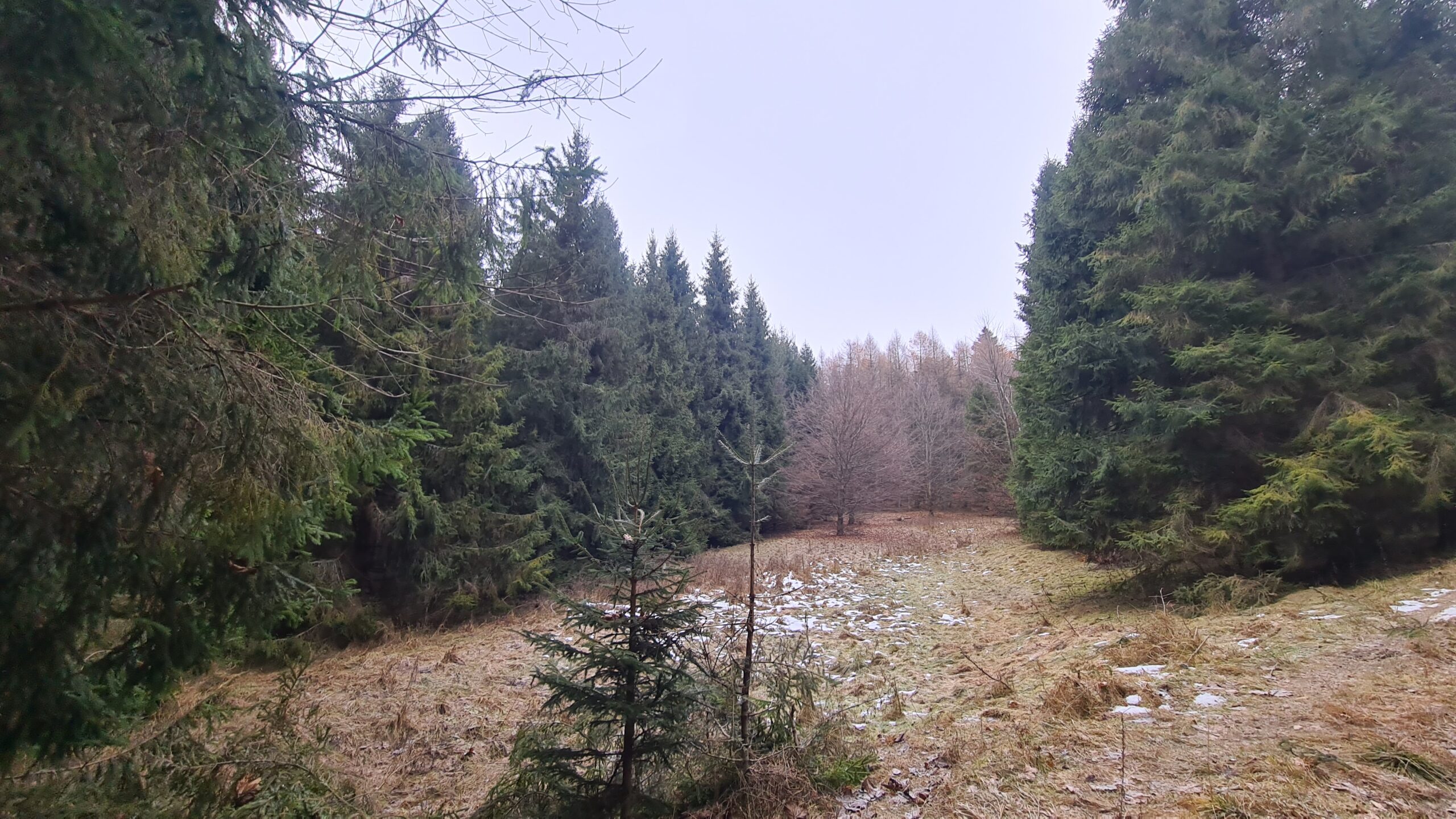 Sedlo Trepeš, Čergov