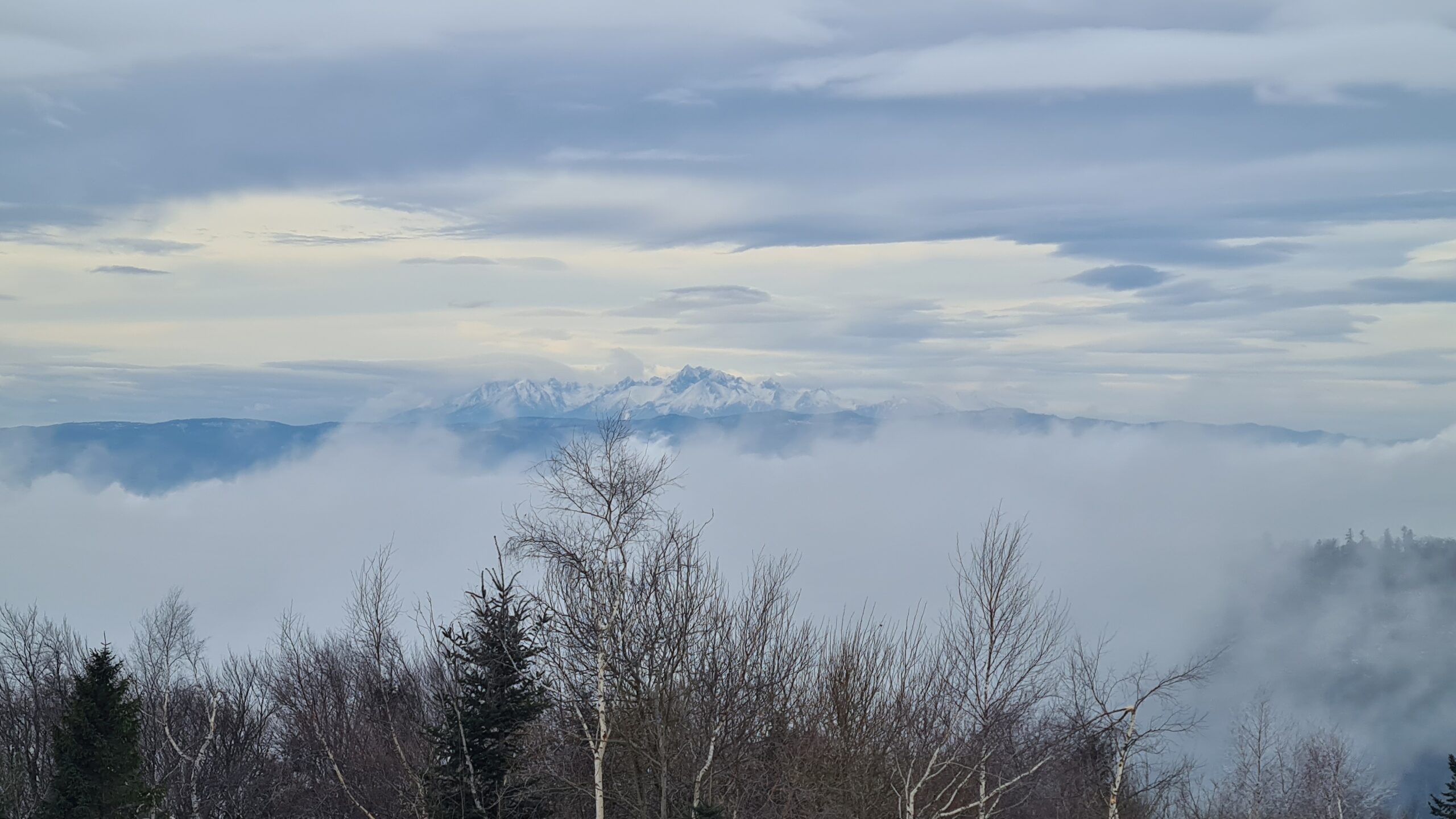 Vysoké Tatry z Lysej, Čergov