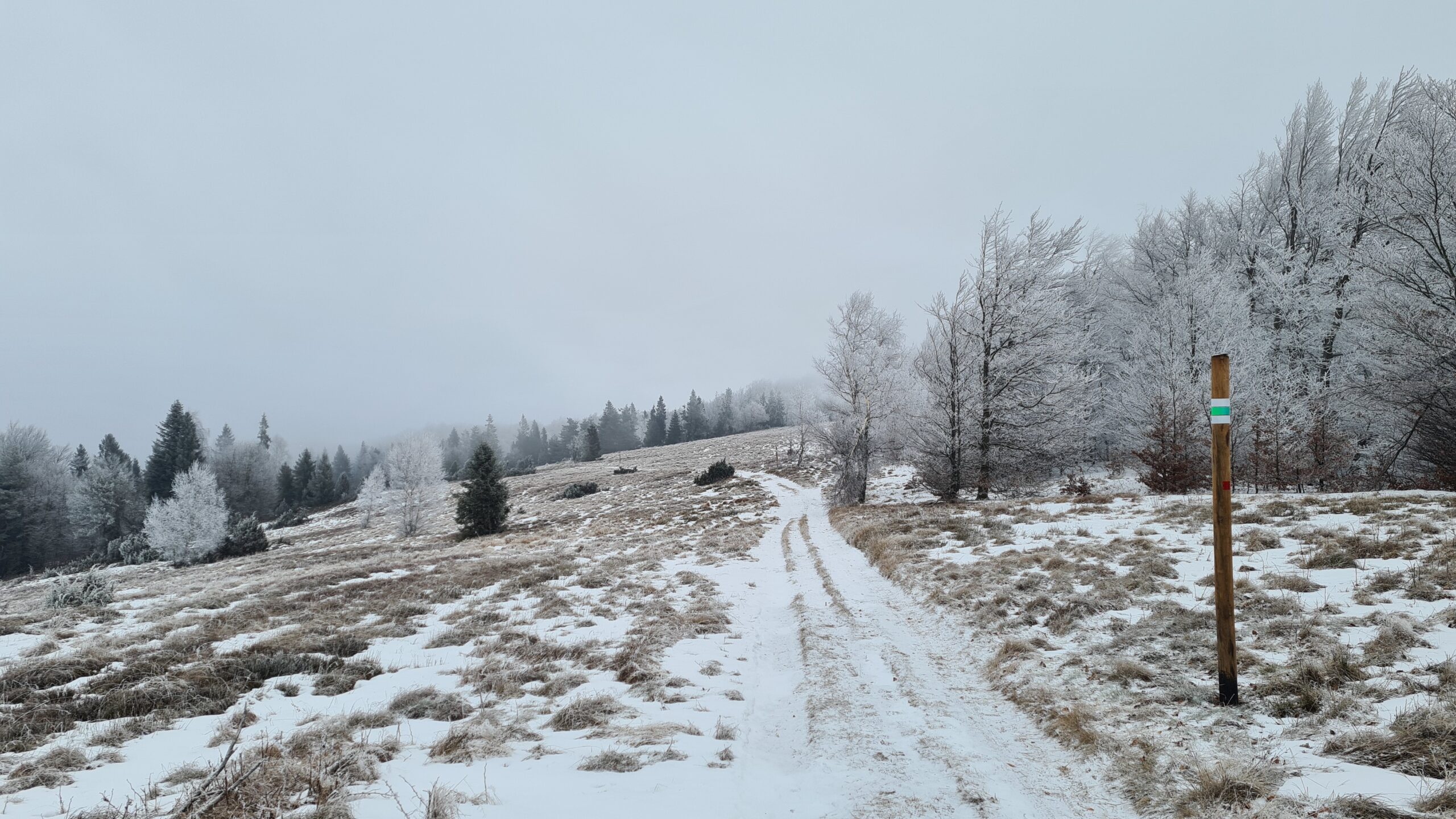Za Rázcestím pod Okrúhlou, smer Ostrý kamen, Čergov