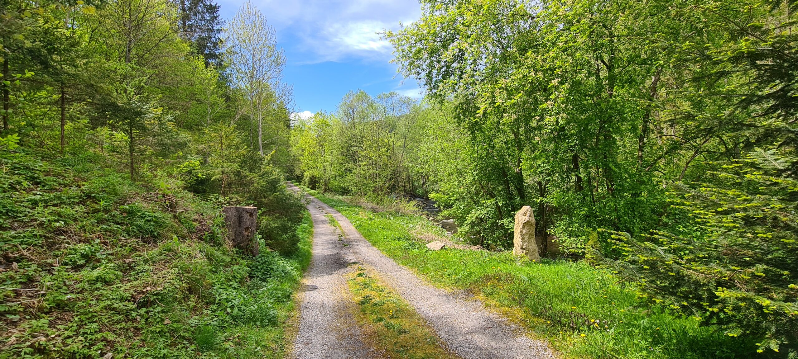 Hnilecká cyklomagistrála, Sykavka