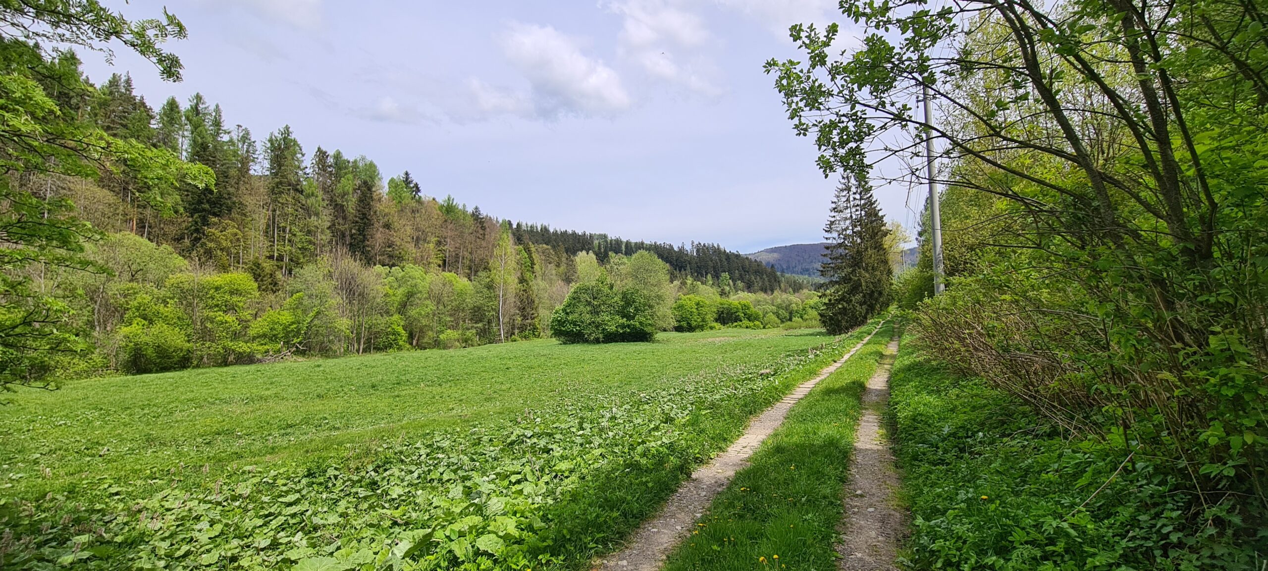Hnileckáa cyklomagistrála, Sykavka