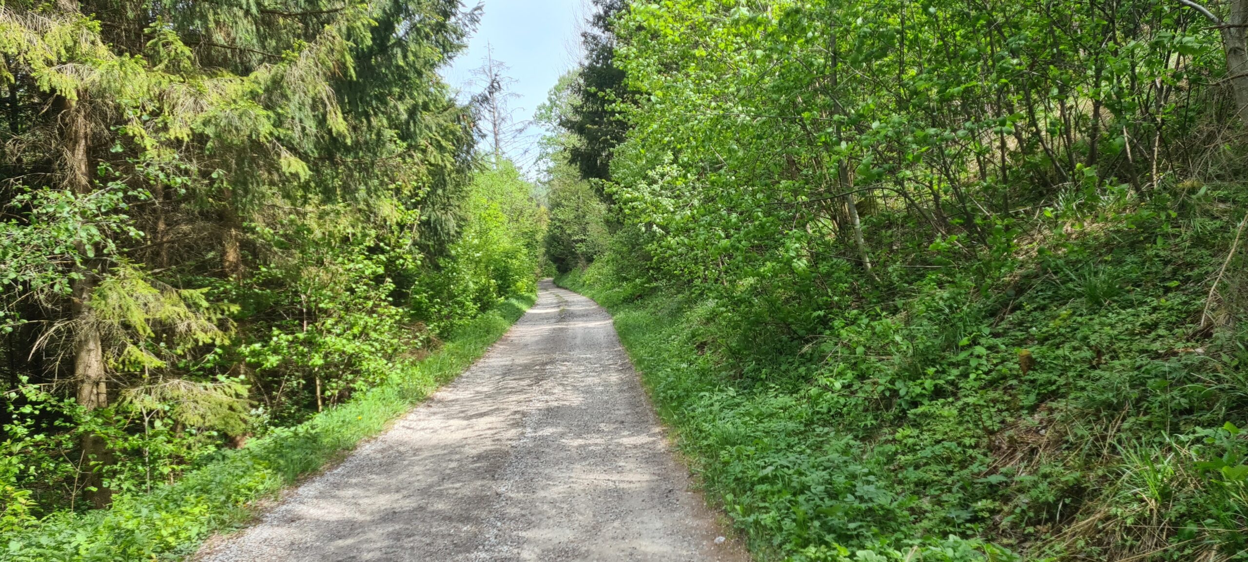 Hnilecká cyklomagistrála, Delava